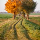 Herbstweg