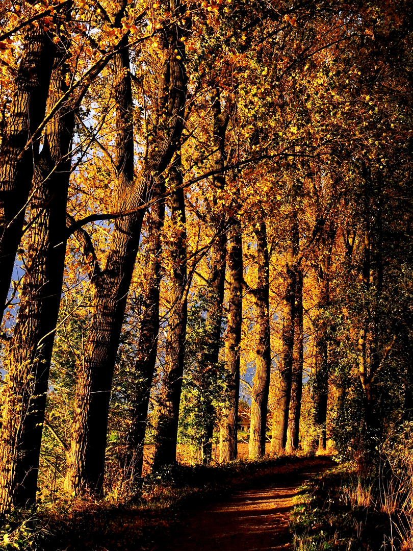 Herbstweg