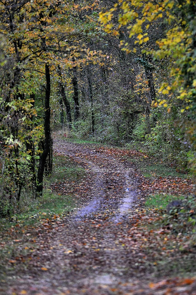 Herbstweg