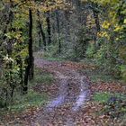 Herbstweg