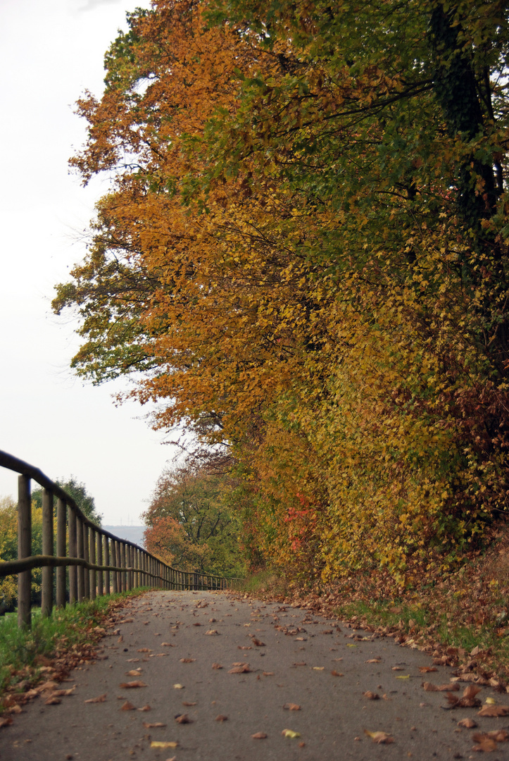 Herbstweg