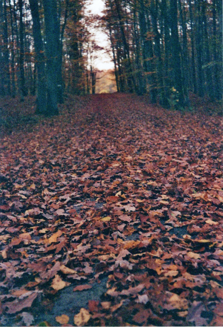 Herbstweg