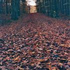 Herbstweg