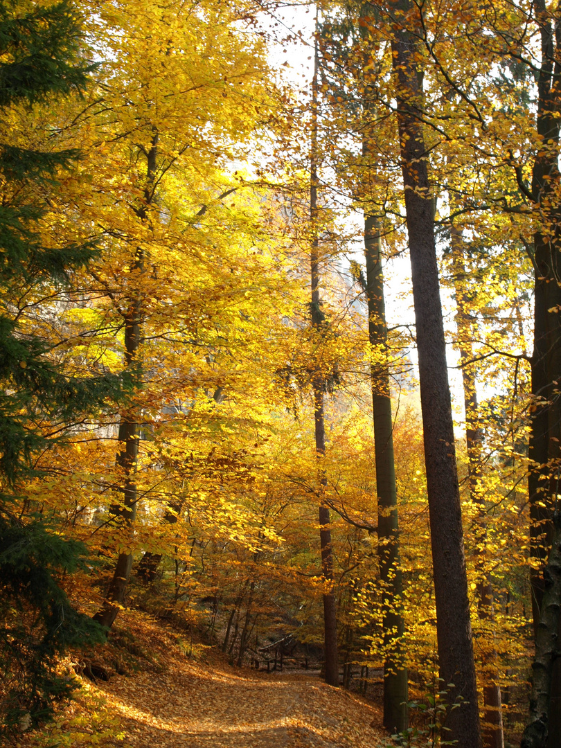 Herbstweg