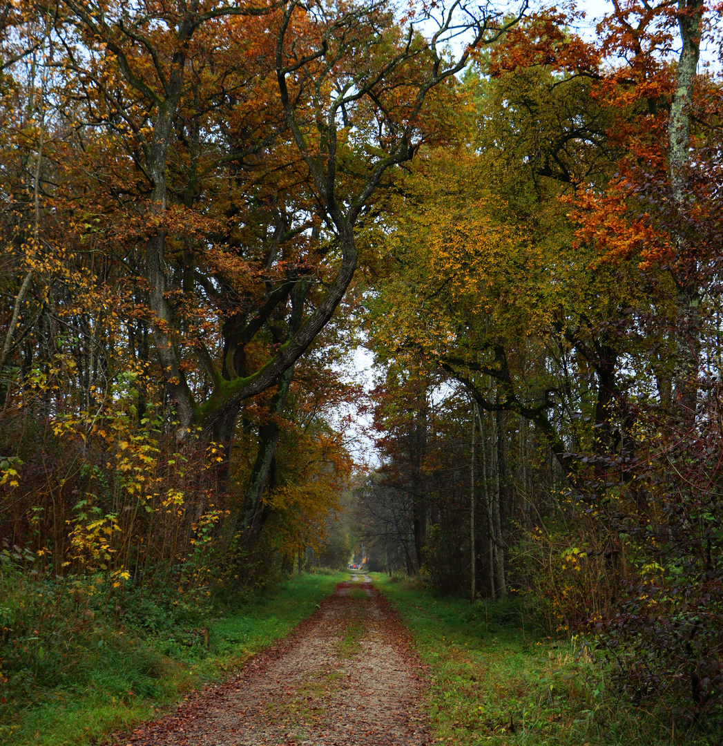 herbstweg