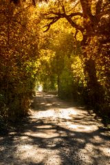 Herbstweg