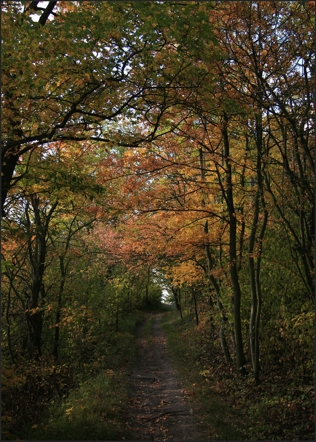 Herbstweg