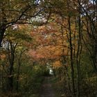 Herbstweg