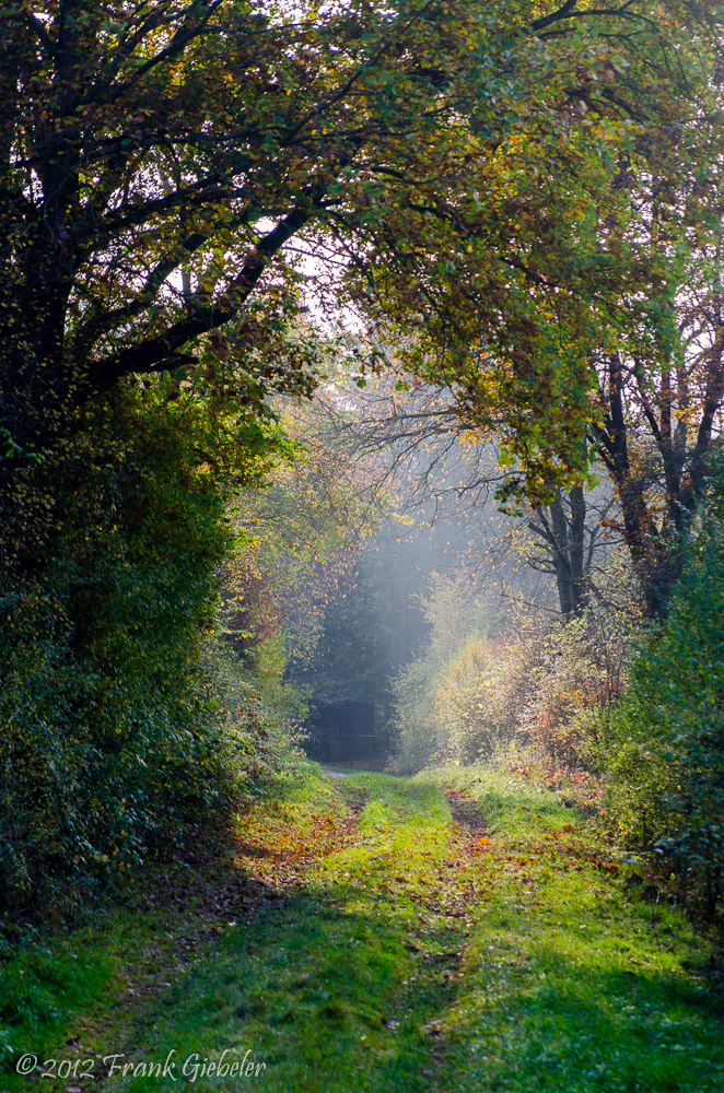 Herbstweg