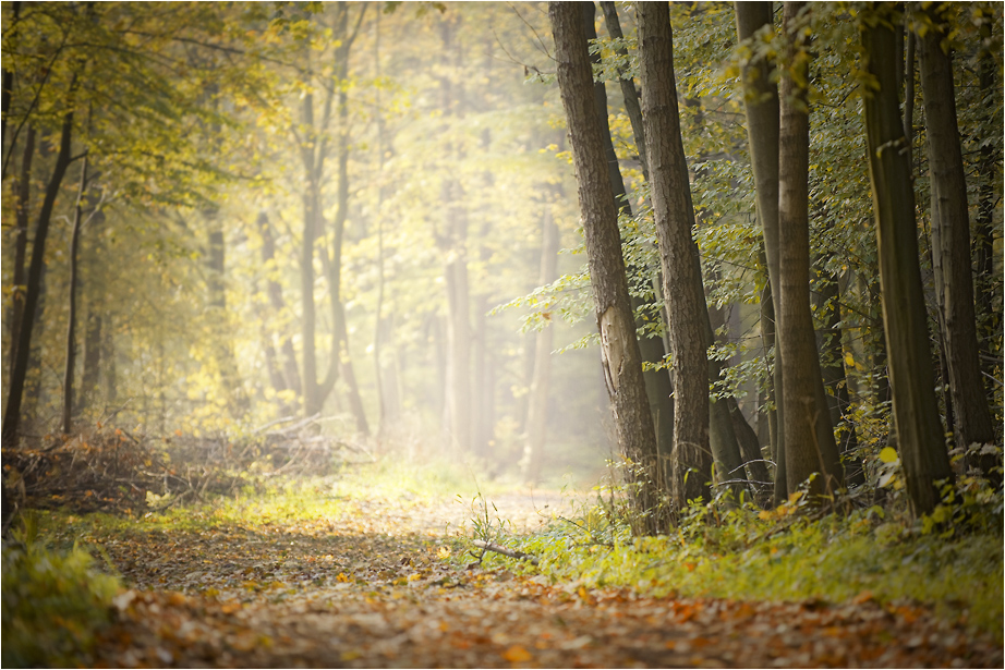 Herbstweg