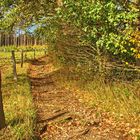 Herbstweg 