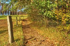 Herbstweg 