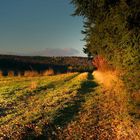 Herbstweg