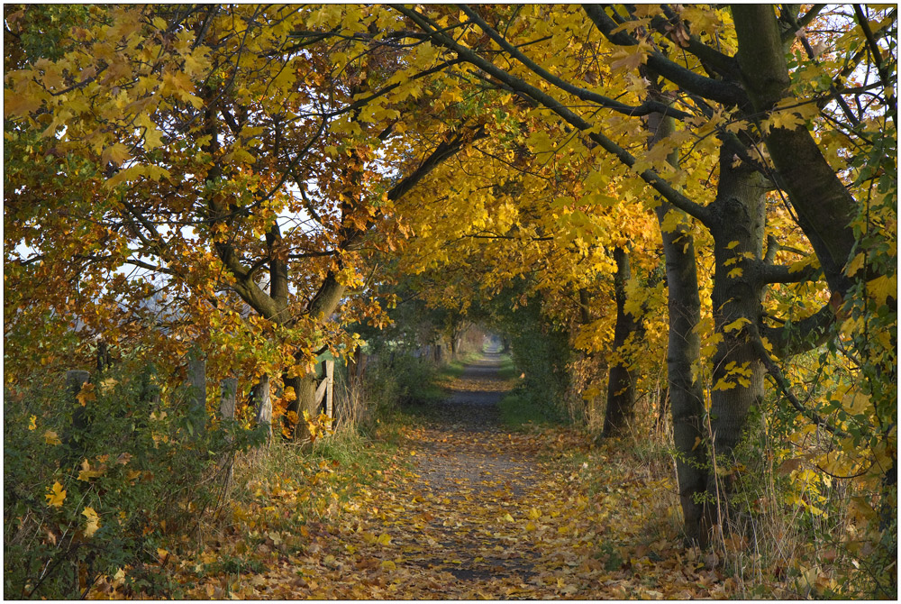 Herbstweg ....