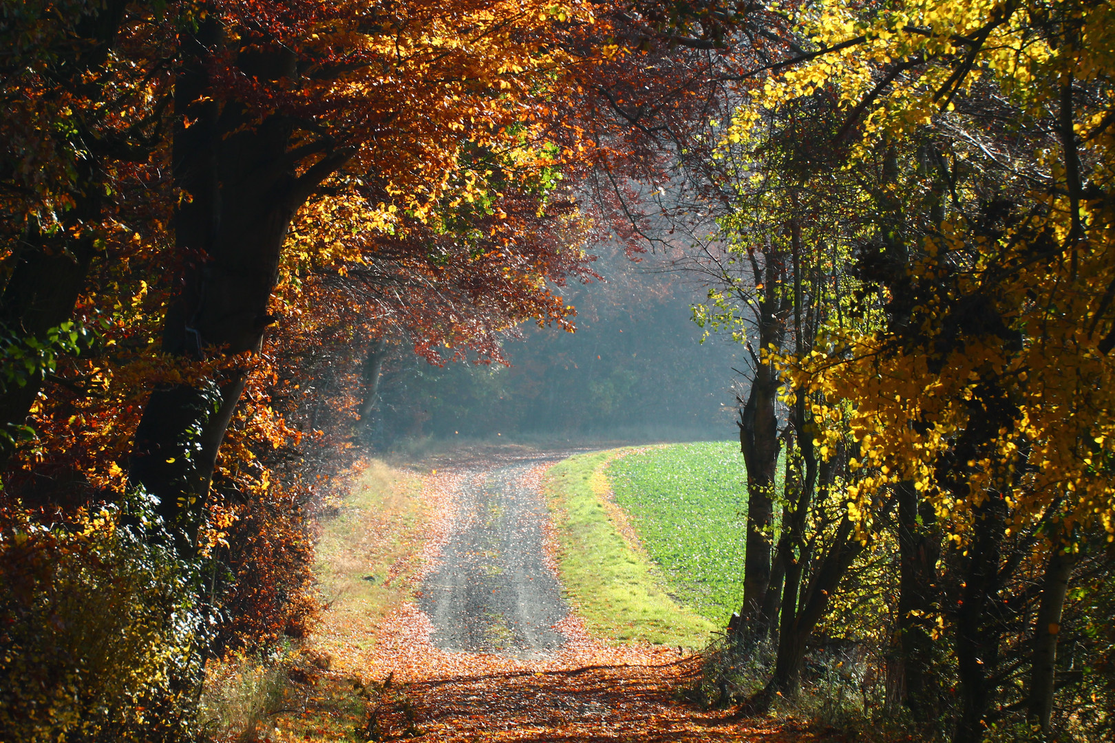 Herbstweg