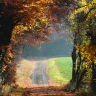 Herbstweg