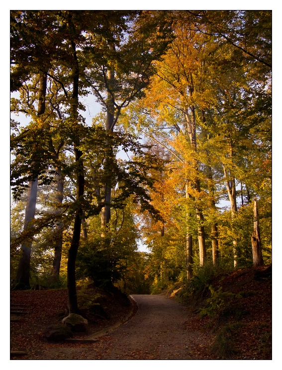 Herbstweg