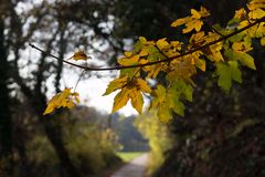 Herbstweg