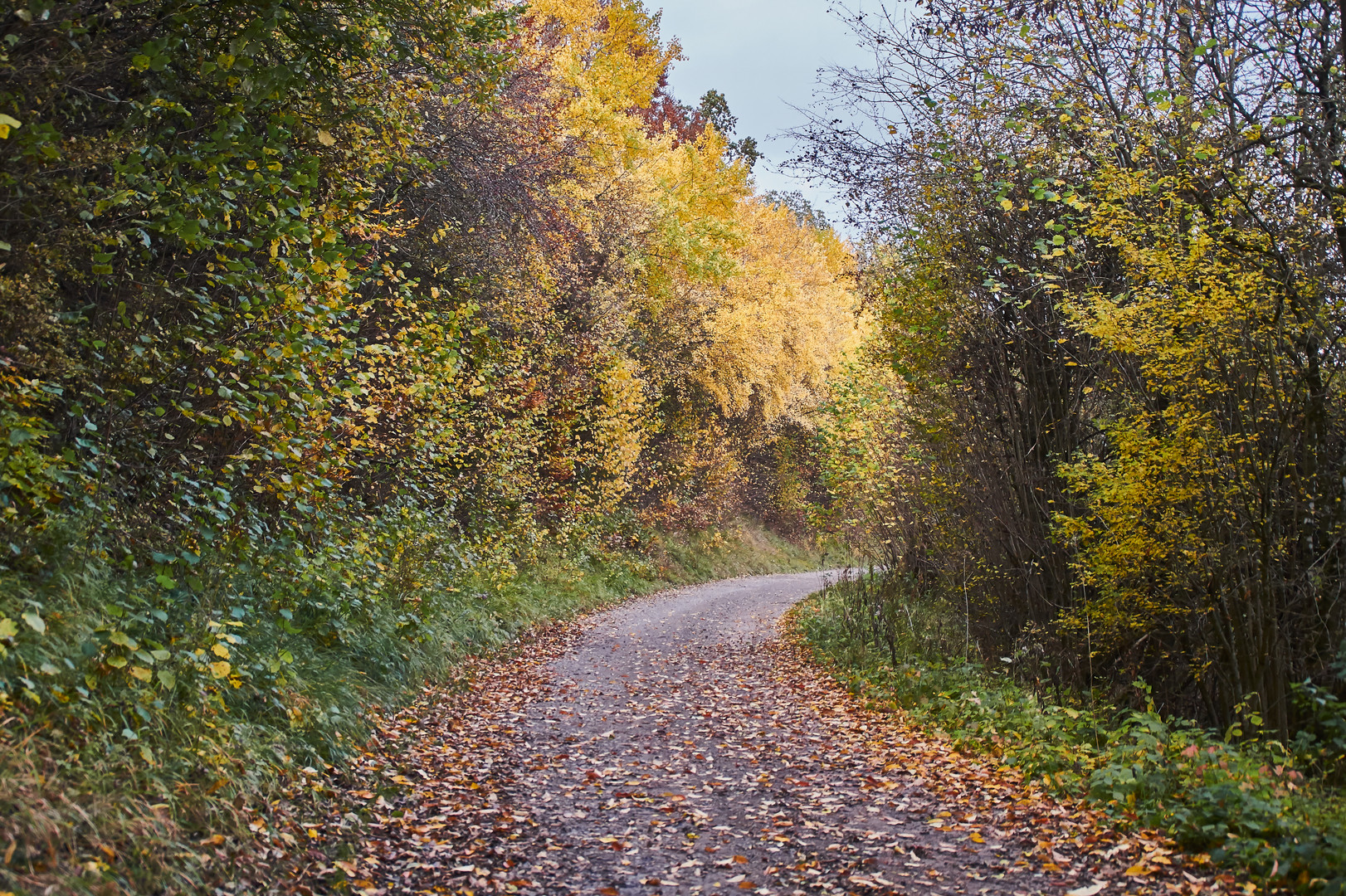 Herbstweg