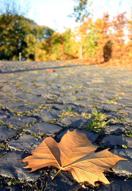 Herbstweg....