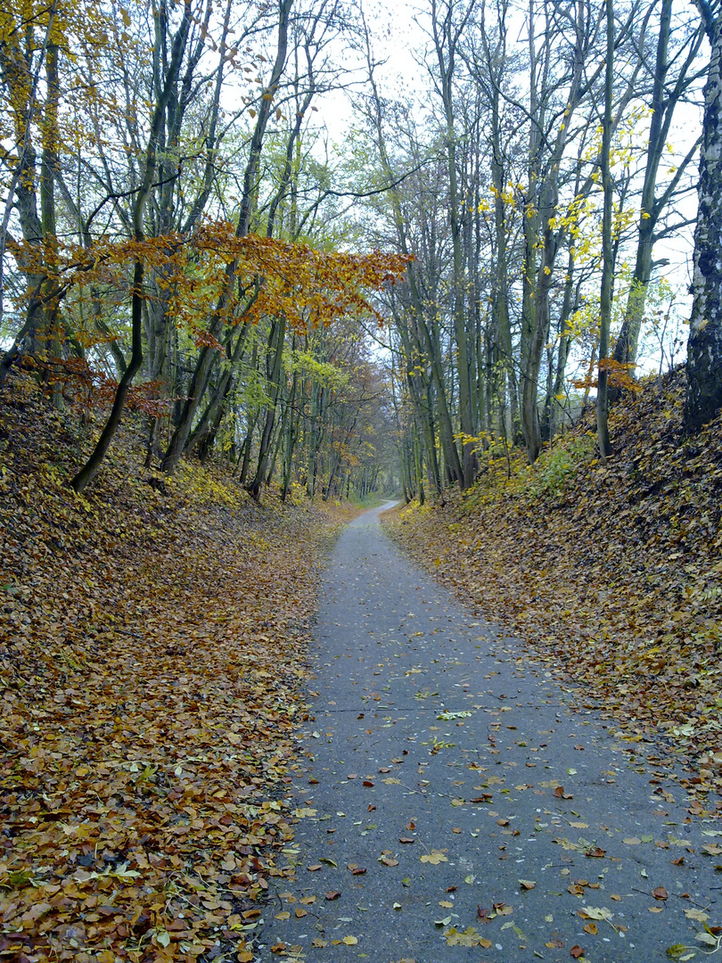 Herbstweg