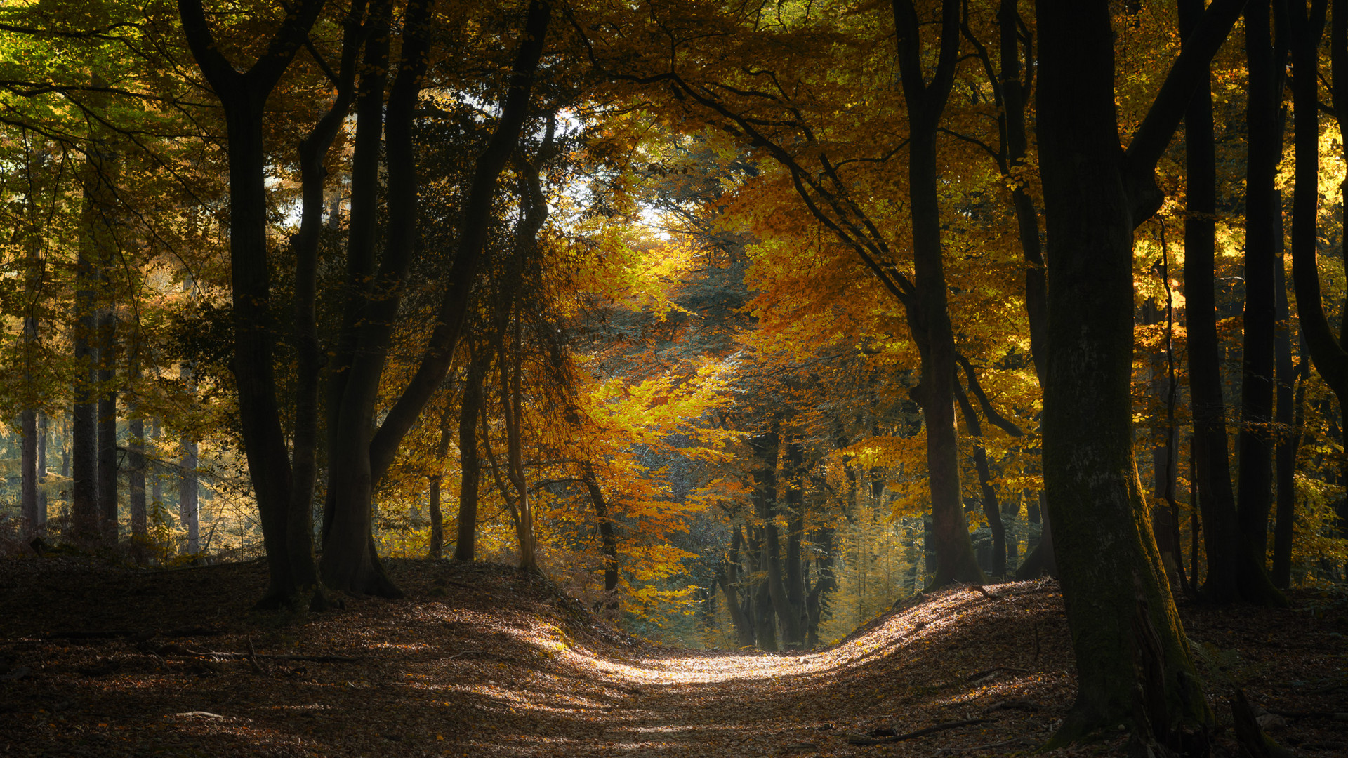 Herbstweg