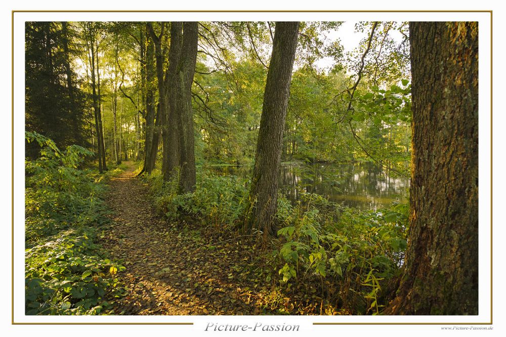 Herbstweg 