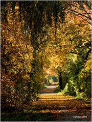 Herbstweg