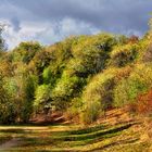 Herbstweg