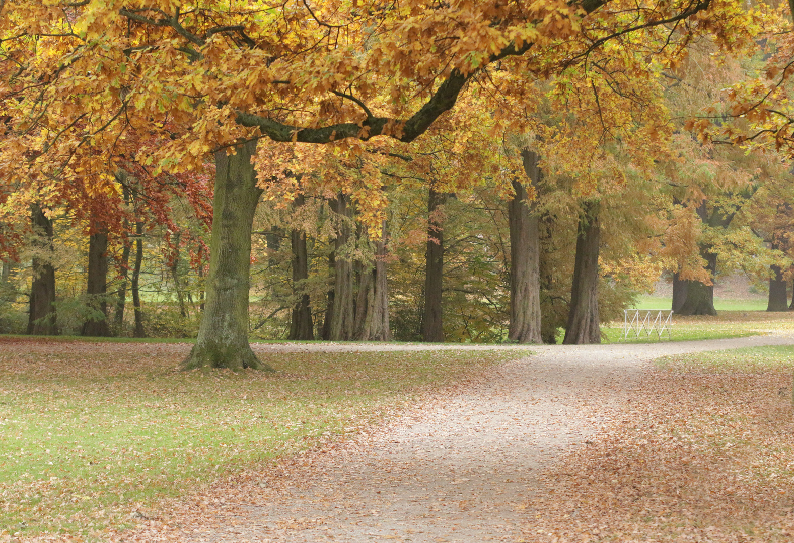 Herbstweg