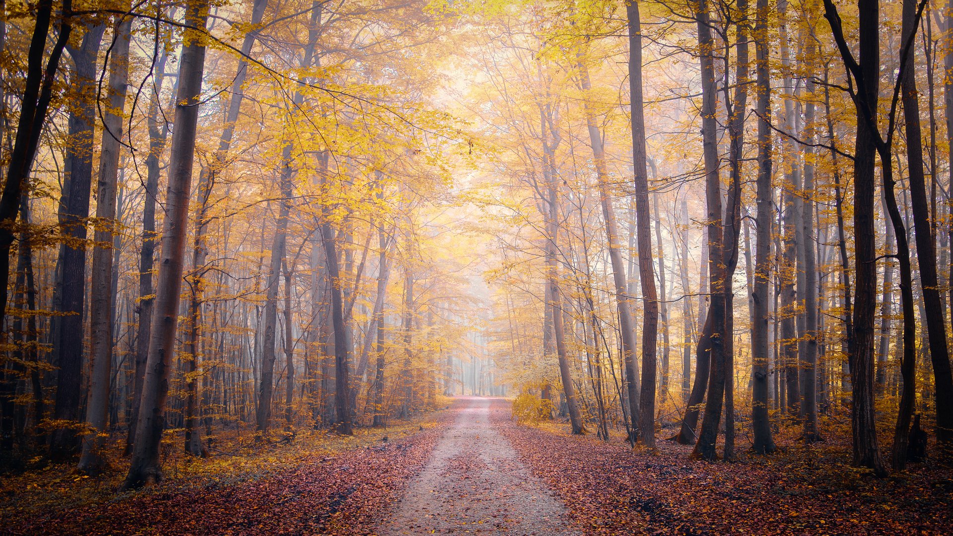 Herbstweg