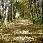 Herbstweg