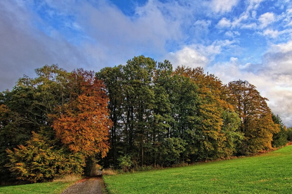 Herbstweg 