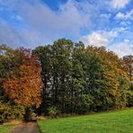 Herbstweg 