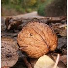 *Herbstweg*