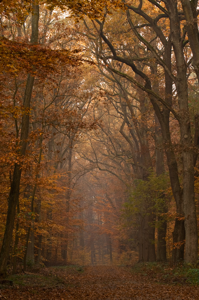 Herbstweg