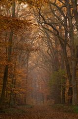 Herbstweg