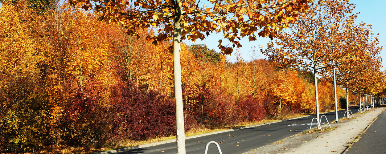 Herbstweg