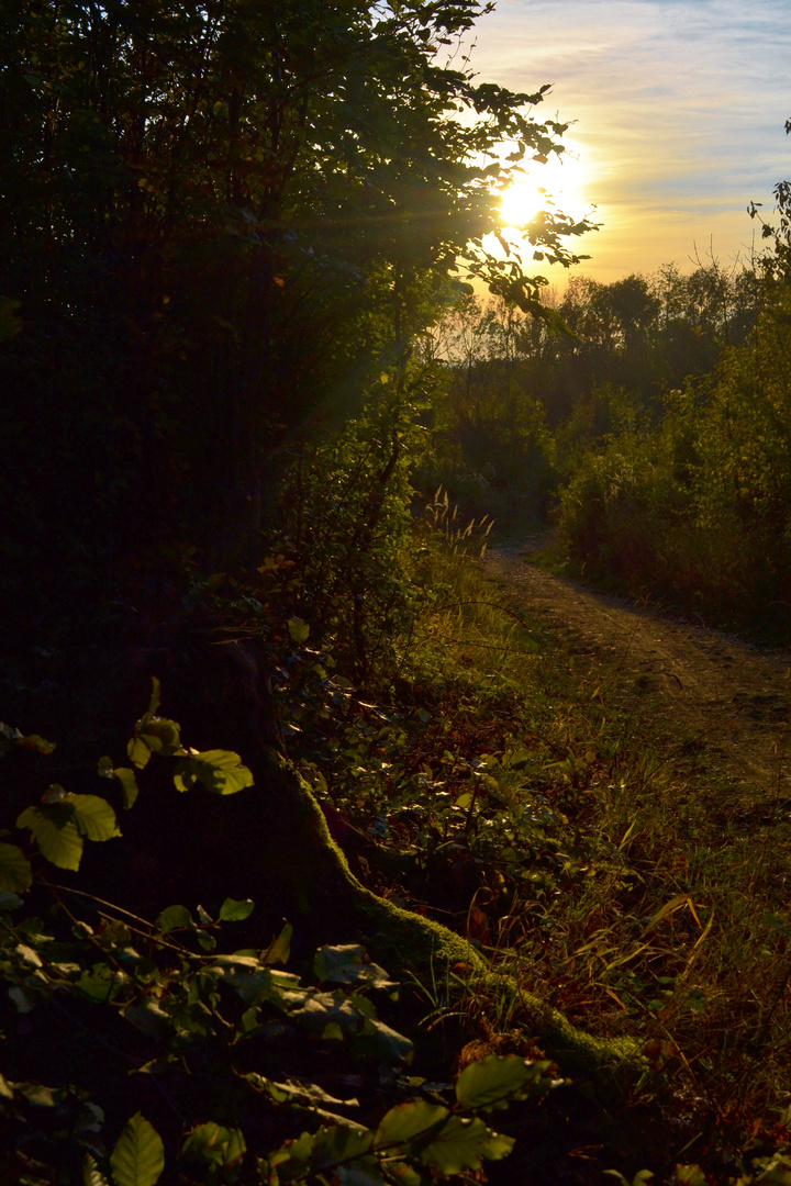 Herbstweg