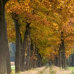 Herbstweg