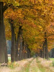 Herbstweg