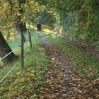 Herbstweg