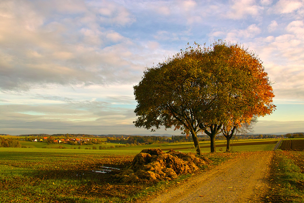 Herbstweg