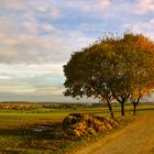 Herbstweg