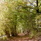 herbstweg