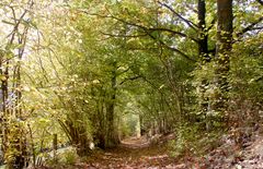 herbstweg