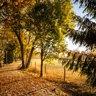 Herbstweg