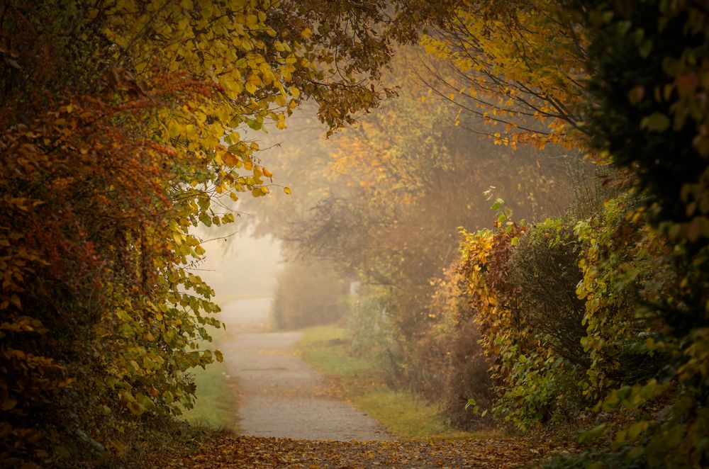 Herbstweg