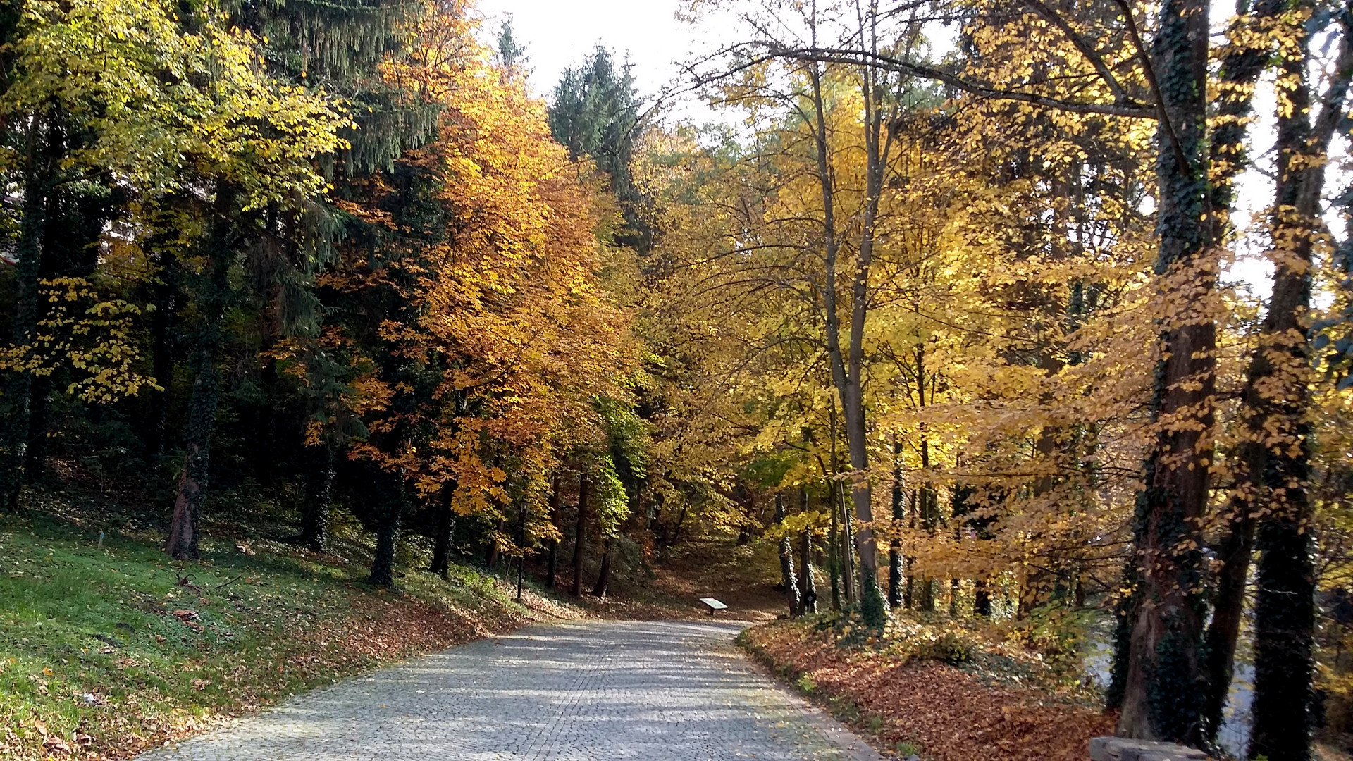 Herbstweg