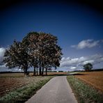 Herbstweg